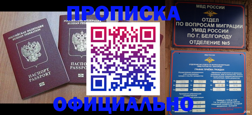 найти адрес прописки в Талице